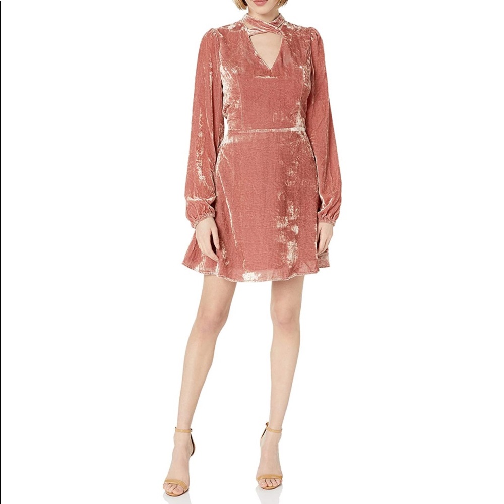 NWOT Crushed Velvet blush pink dress.  Never worn.